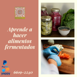 Alimentos Fermentados